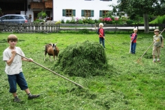 Heuen-im-eigenen-Garten-Scholz