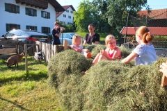 bei der Heuernte2